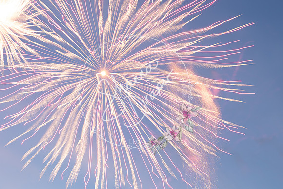 MARSHALLTOWN-2021 FIREWORKS-4