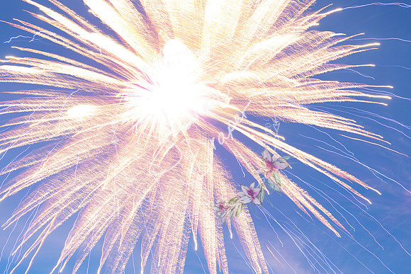 MARSHALLTOWN-2021 FIREWORKS-16