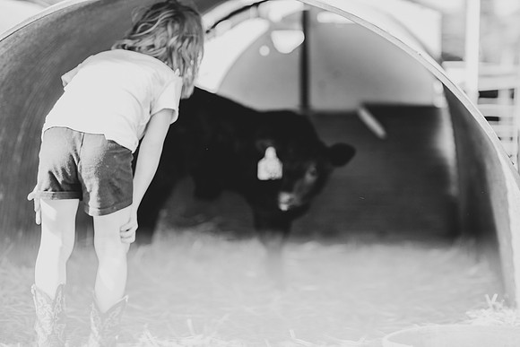 IMG_3650-2
