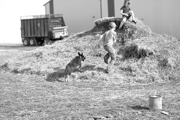 IMG_3677