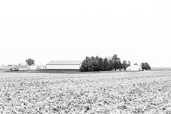 untitled-0984-2